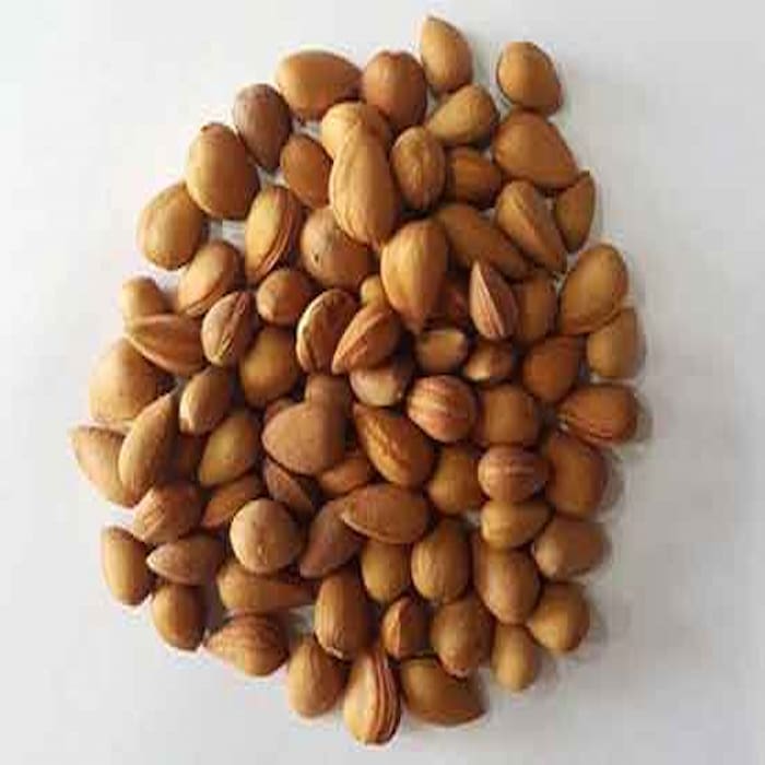 تصویر 4 از فروش و قیمت خرید بادام تلخ درختی یا کوهی + قیمت مناسب